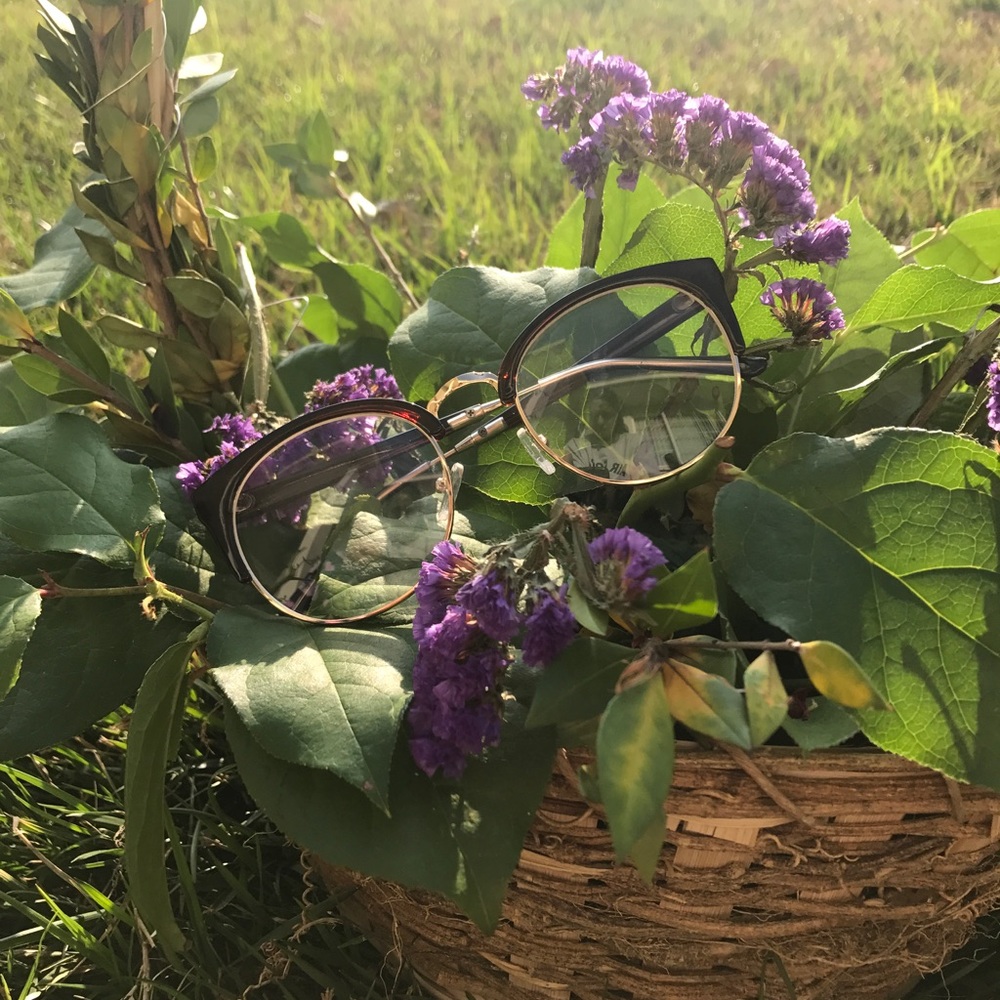 New!! Black/brown  gold clear glasses